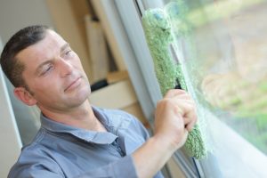 Window cleaner and window